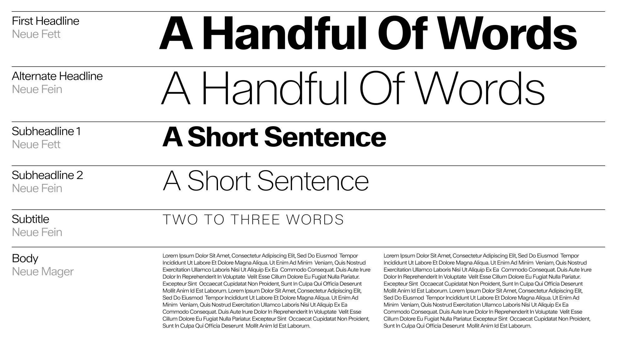 Typography
