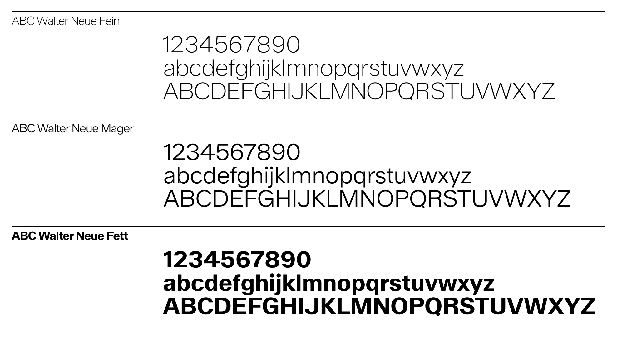 Typography