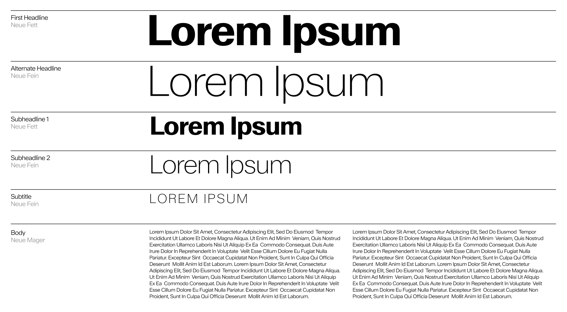 Typography